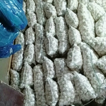 精品大蒜，蒜米，生姜