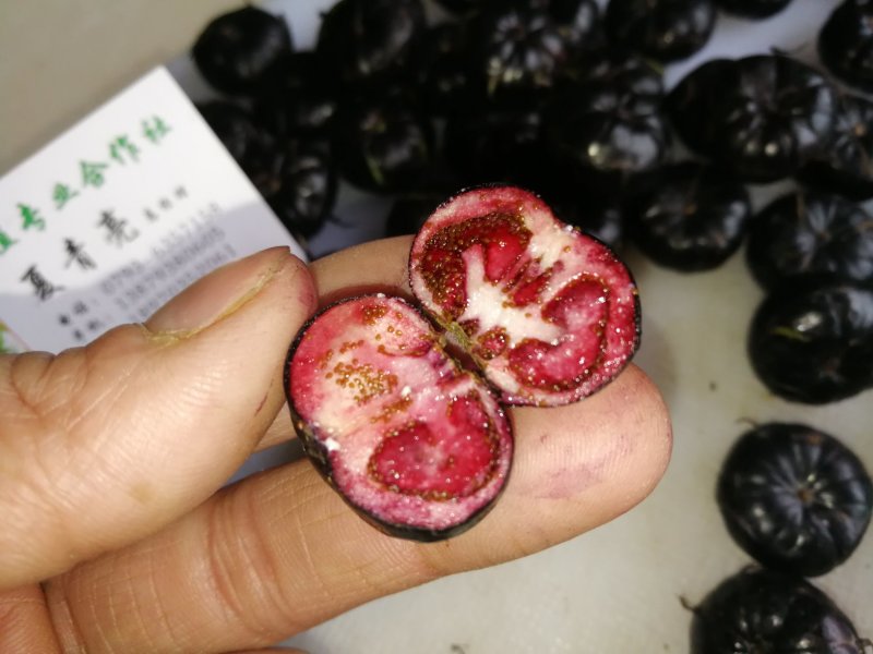 特色水果蜘蛛果红果参种植基地鲜果批发脆甜爽口