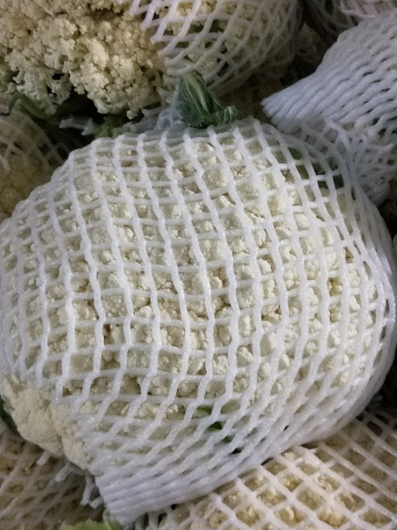 有机散花