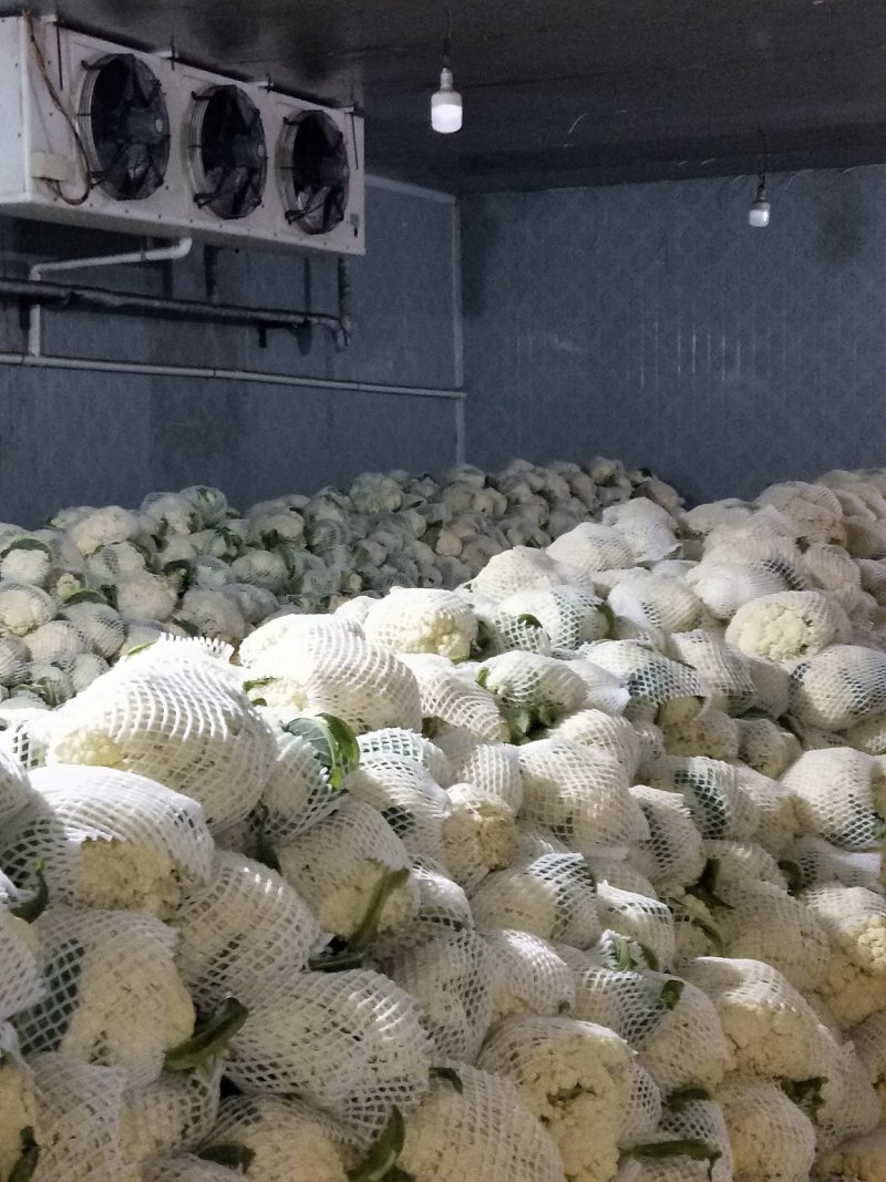 有机散花
