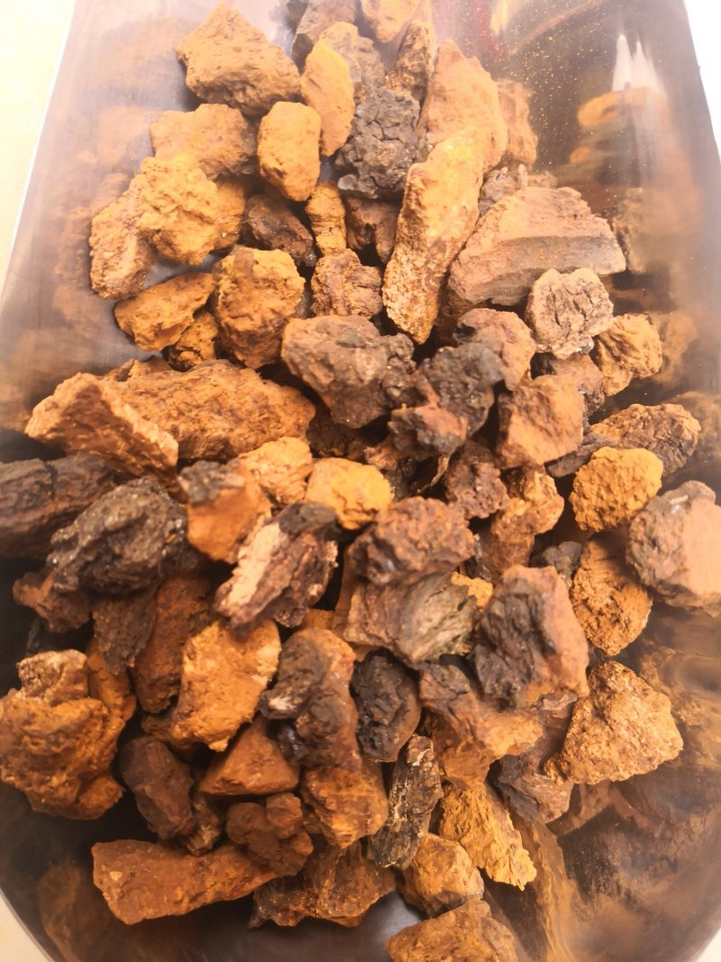 桦树茸白桦茸俄罗斯1公斤起批无硫无添加不包邮