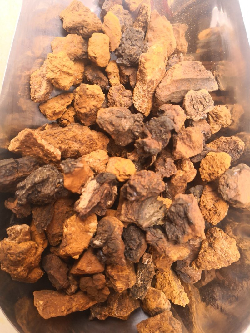 桦树茸白桦茸俄罗斯1公斤起批无硫无添加不包邮