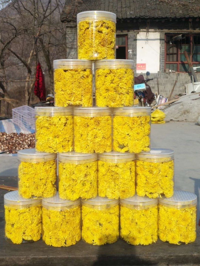 菊花