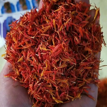 新疆红花