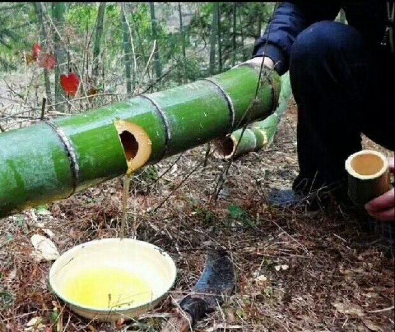 竹筒酒