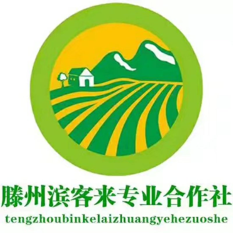 常年供应1到3和2到4精品小土豆适合市场，加工厂，出口贸