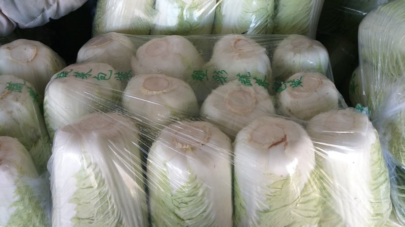 大白菜