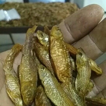 醴陵农家火焙小鱼干