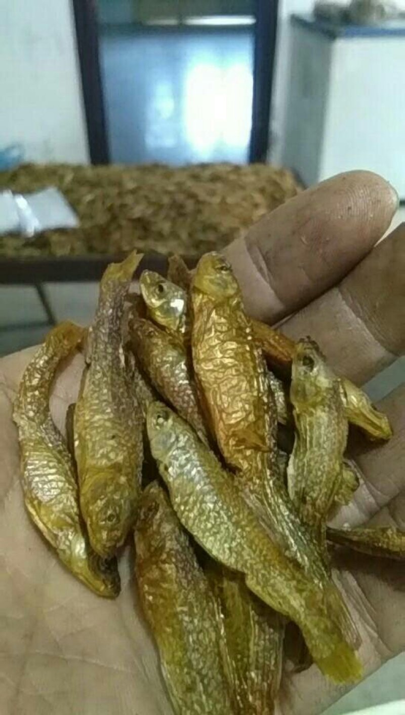 醴陵农家火焙小鱼干