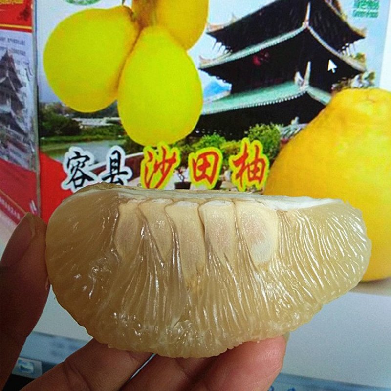 【有好货】广西容县沙田柚纯正纯甜多水分诚招代一件代发