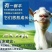 羊奶粉，正宗俄罗斯