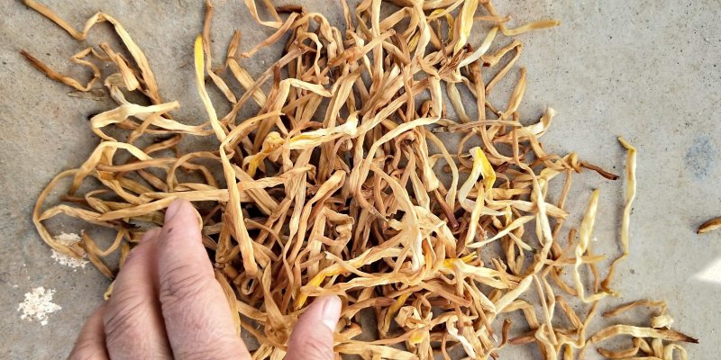祁东干黄花菜产地货源，量大从优
