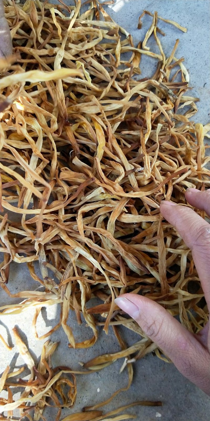 祁东干黄花菜产地货源，量大从优