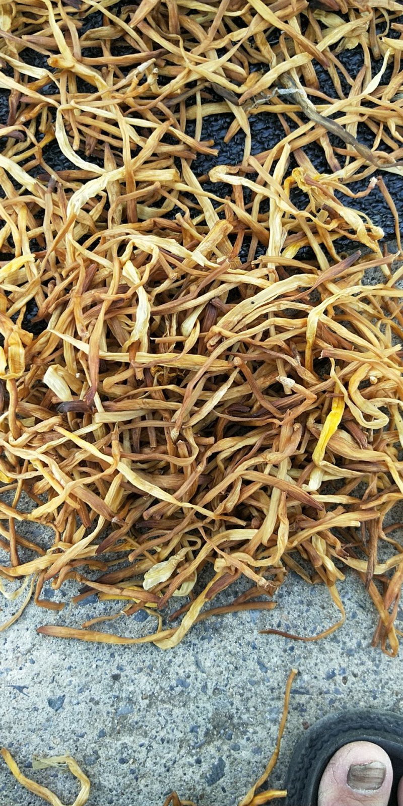 祁东干黄花菜产地货源，量大从优