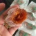 柿饼
