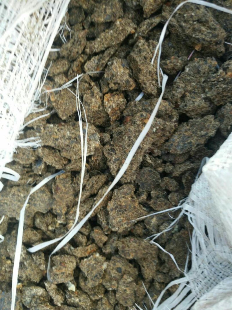 蓖麻饼