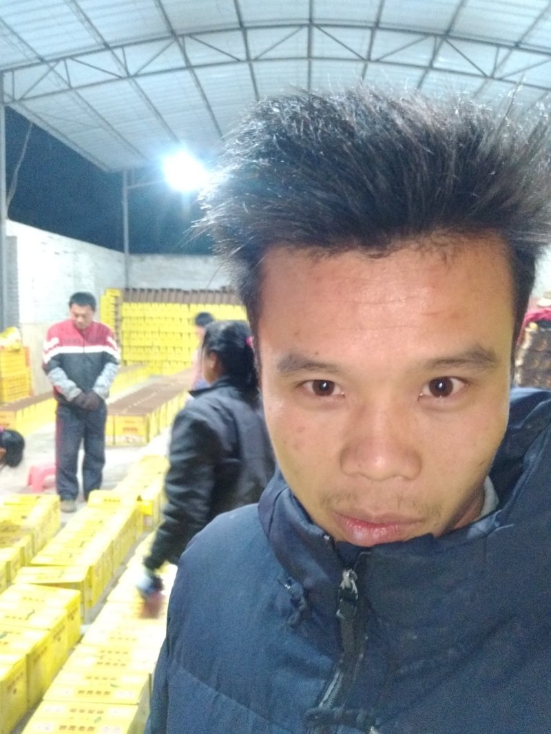 柑桔德庆皇帝柑