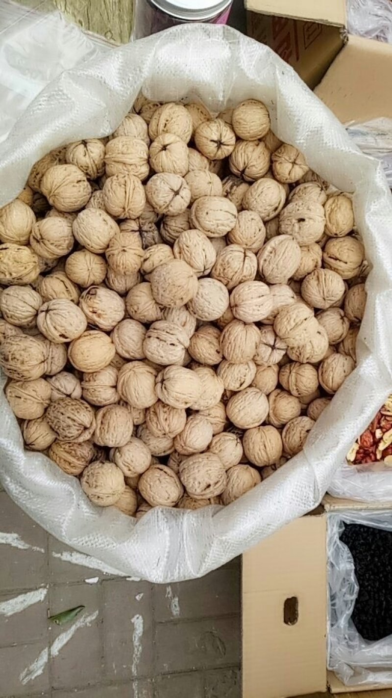 薄皮核桃