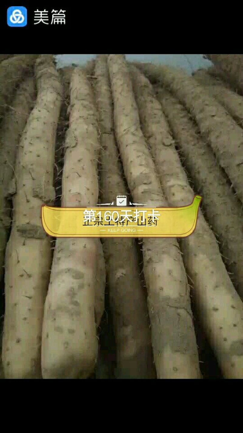 山药
