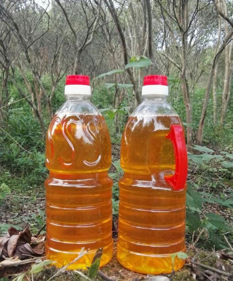 粮油产品越南茶油