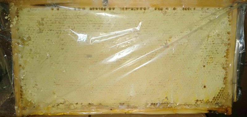 蜂巢蜜。整张新蜜脾新巢蜂蜜整张封口率好支持批发零售