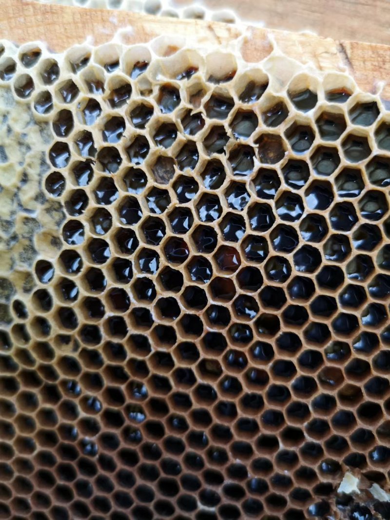 蜂蜜批发