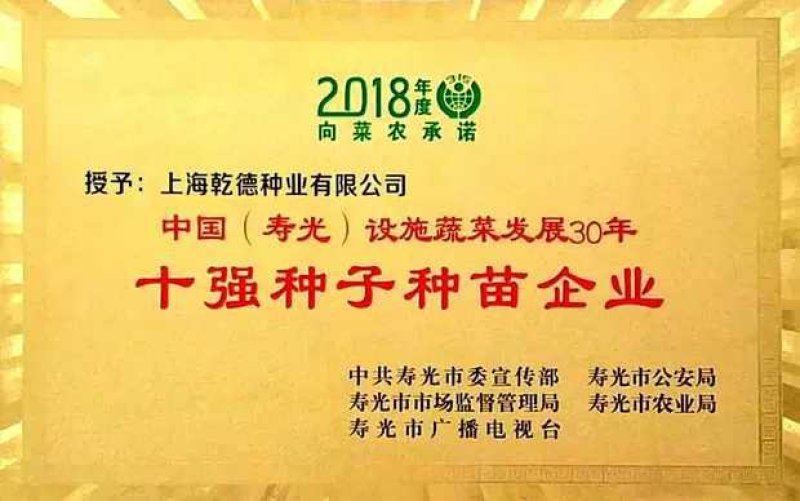 乾德456黄瓜种子强雌优良黄瓜新品种种子1000粒一袋