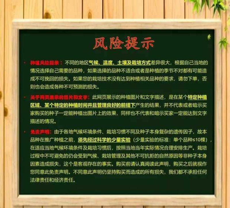 乾德456黄瓜种子强雌优良黄瓜新品种种子1000粒一袋
