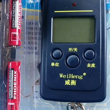 便携式电子秤