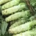 红叶香莴苣质量好价格低量大从优欢迎咨询