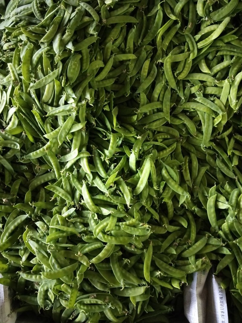 荷兰豆夹豆