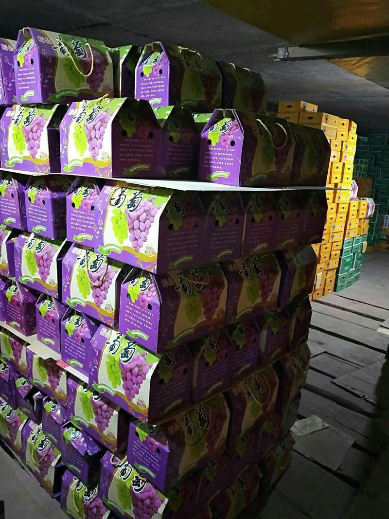 葡萄库存礼品盒精品大量有货，诚邀各地水果商。