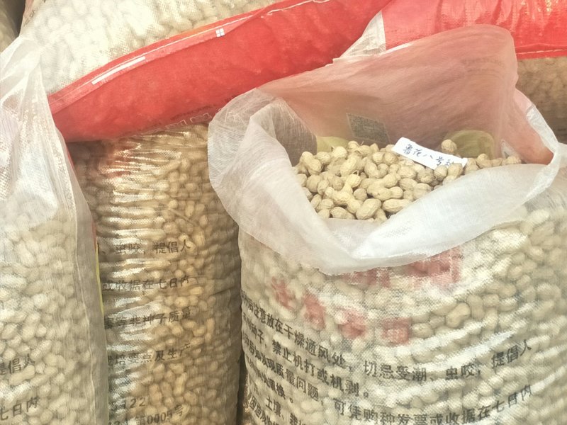 手扒花生花生米子双仁果种子，和商品米，油料米子，