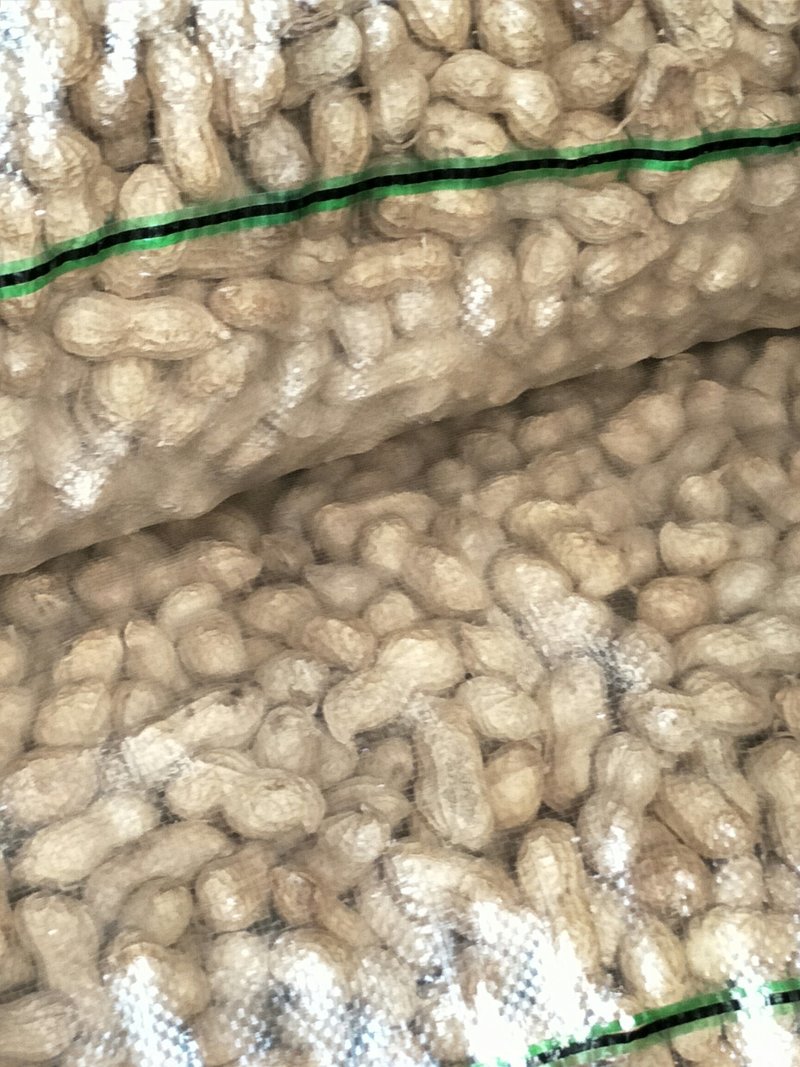 手扒花生花生米子双仁果种子，和商品米，油料米子，