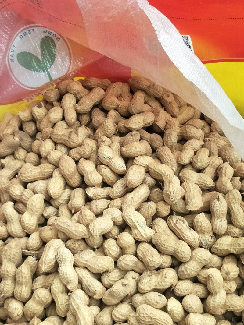 手扒花生花生米子双仁果种子，和商品米，油料米子，