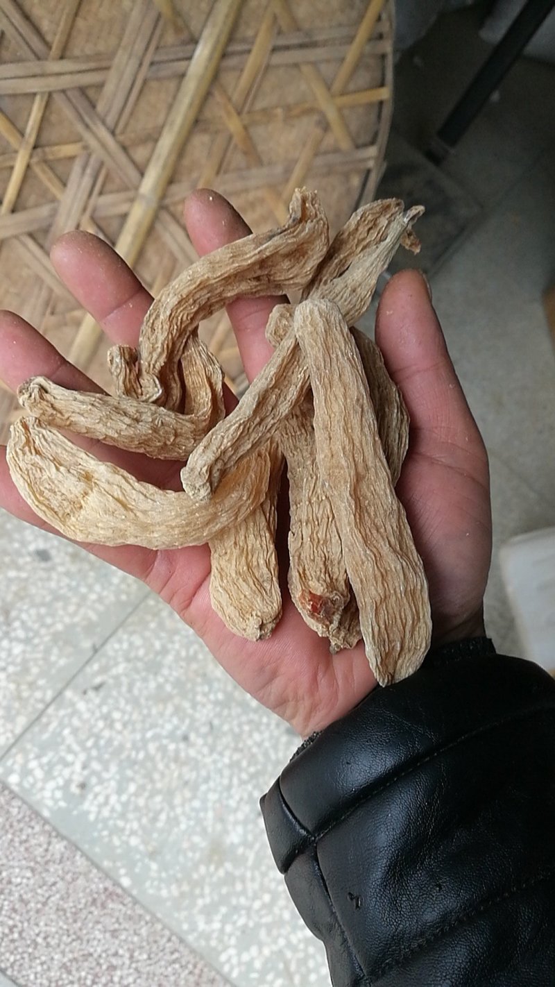 天麻野外仿野生天麻，干天麻素含量高