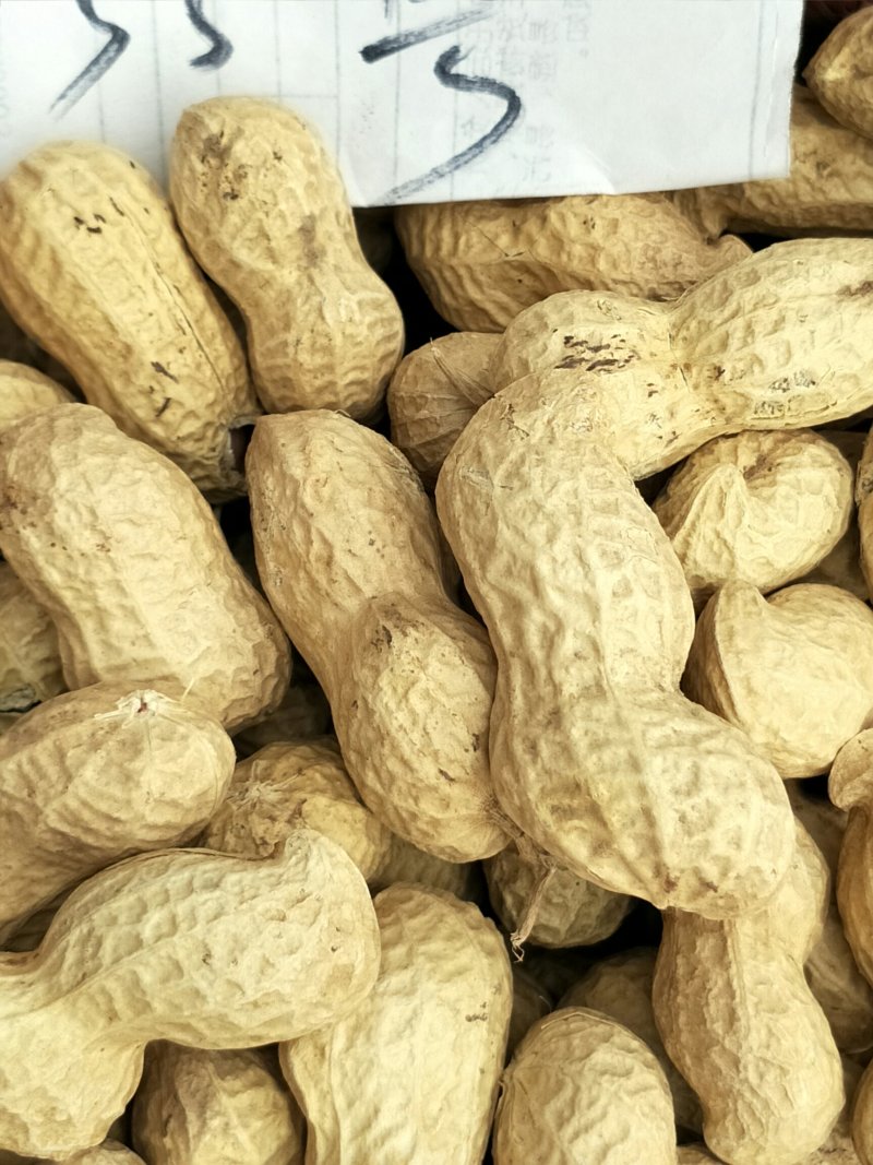 手扒花生花生米子双仁果种子，和商品米，油料米子，