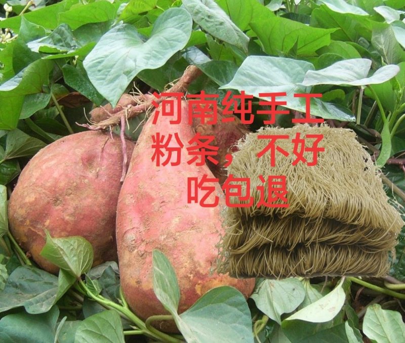 正宗河南红薯粉粉条粉皮粉面