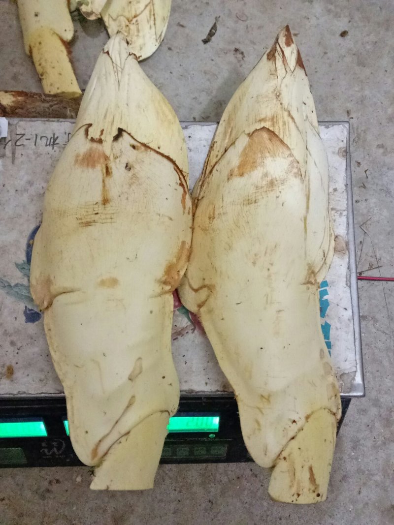 棕包