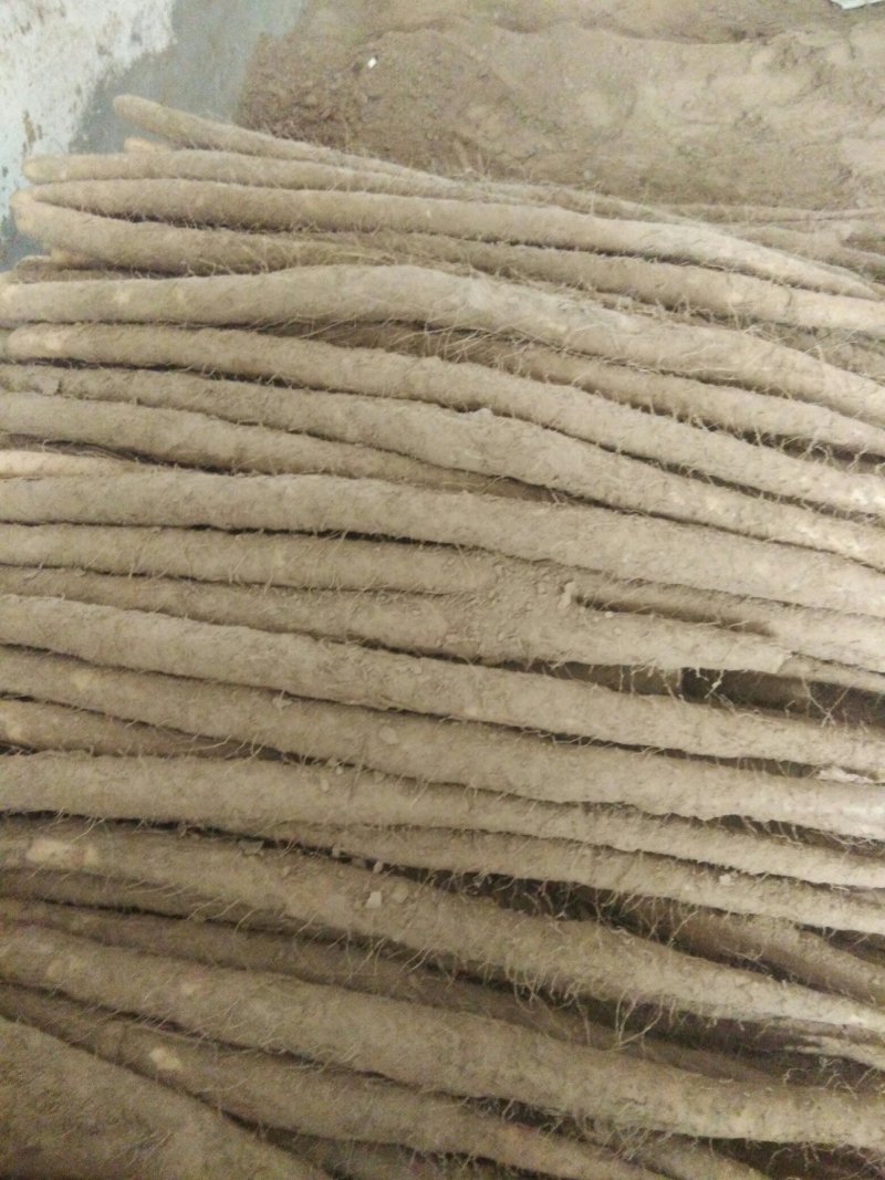 山药
