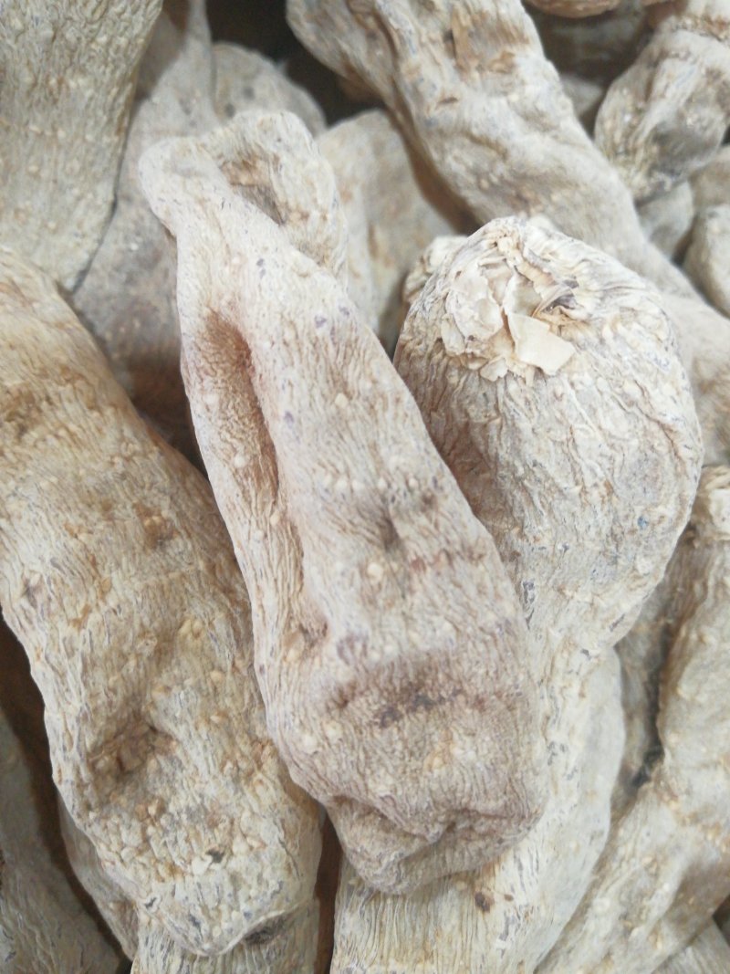 云南天麻，仿野生种植，无硫原生态