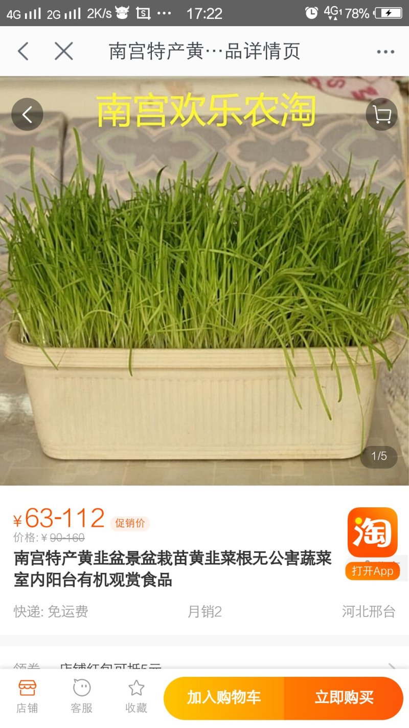 南宫特产黄韭盆景有机蔬菜绿色无公害黄韭菜盆栽