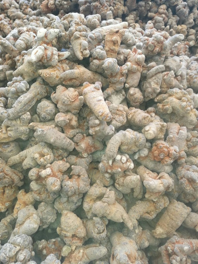文山三七各种规格