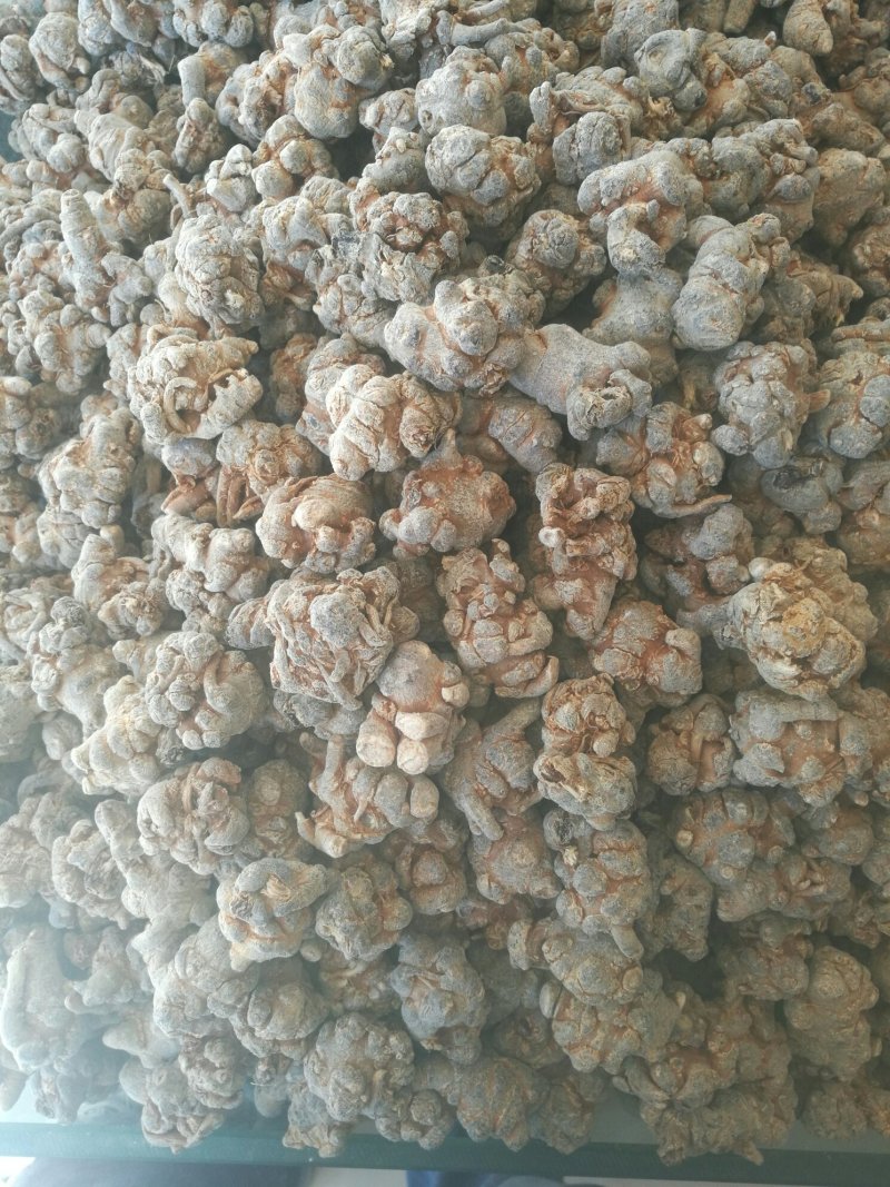 文山三七各种规格