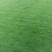 马尼拉草卷
