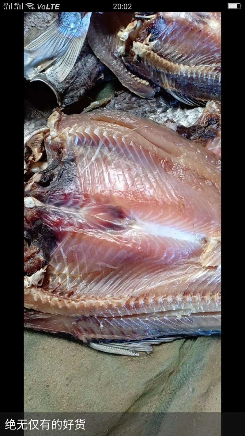 鲤鱼，白链鱼，河虾批发兼零售