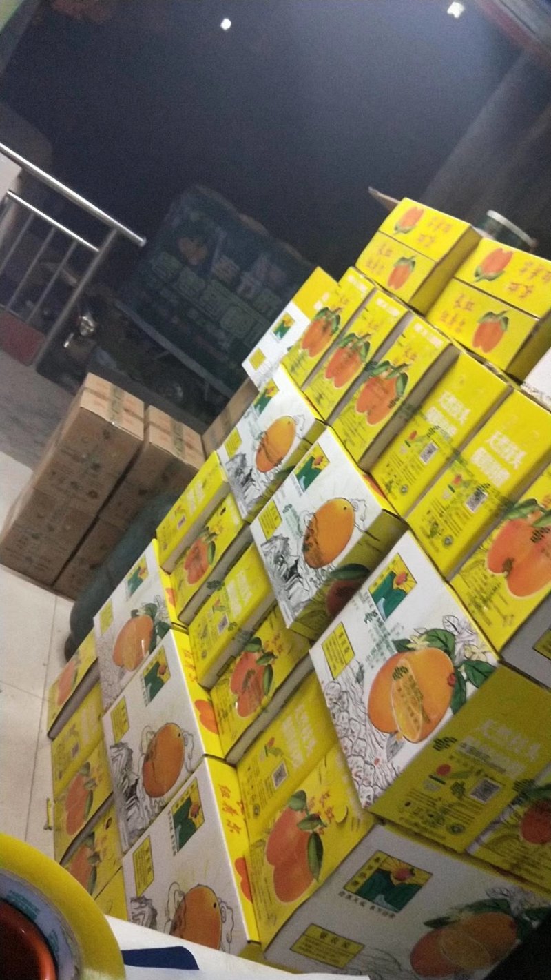 脐橙