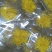 金丝皇菊大花28朵独立单包组合，每朵干花直径6公分养颜美