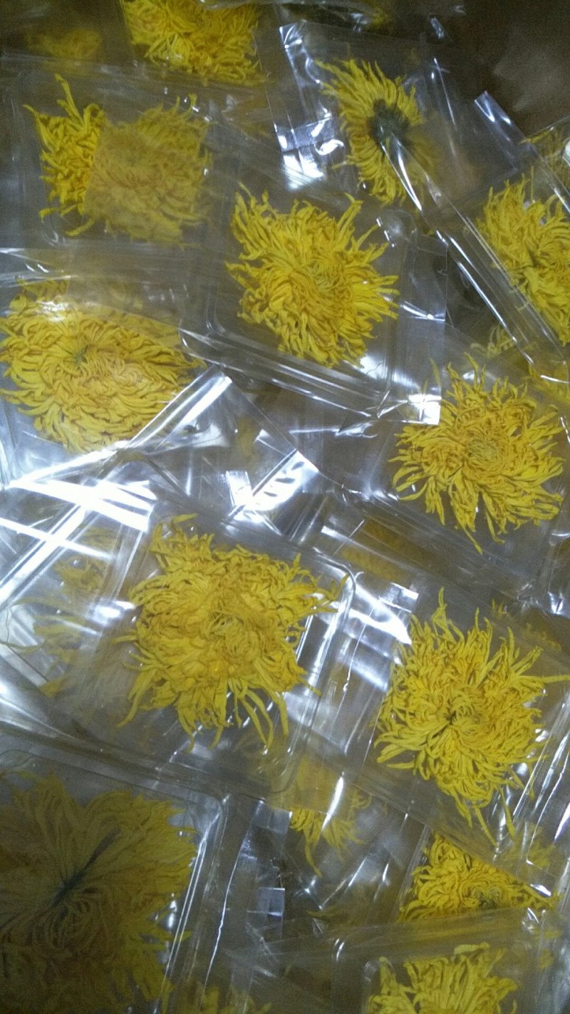 金丝皇菊大花28朵独立单包组合，每朵干花直径6公分养颜美