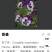 【精品】三色堇三色花大量批发基地直销大量上市欢迎选购
